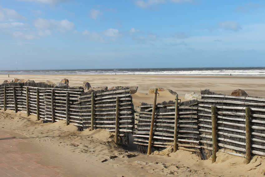 plagenormandiea6bcd.jpg