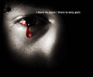Image IPB