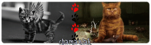 cham1.gif