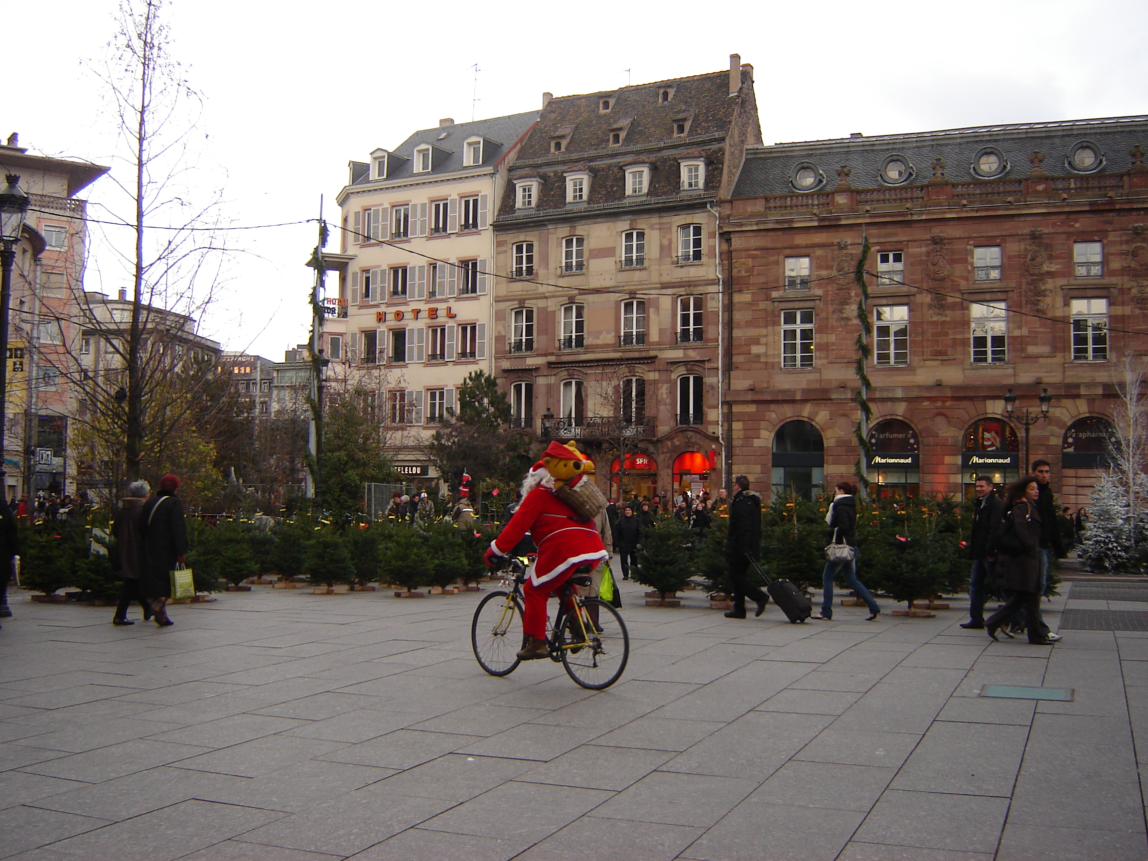 dsc03697.jpg