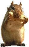 ecureuil2.gif