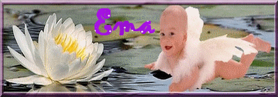 ema11eqe.gif