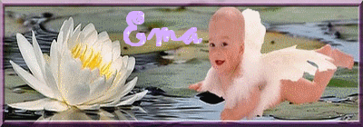 ema13cuc.gif