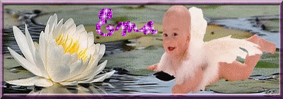 ema14.gif