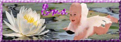 ema17.gif