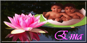 ema2.gif