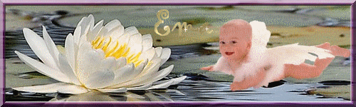 ema2idi.gif