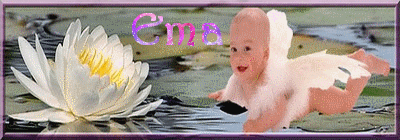 ema8.gif