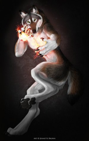firewolfby.jpg