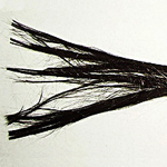 image3.png