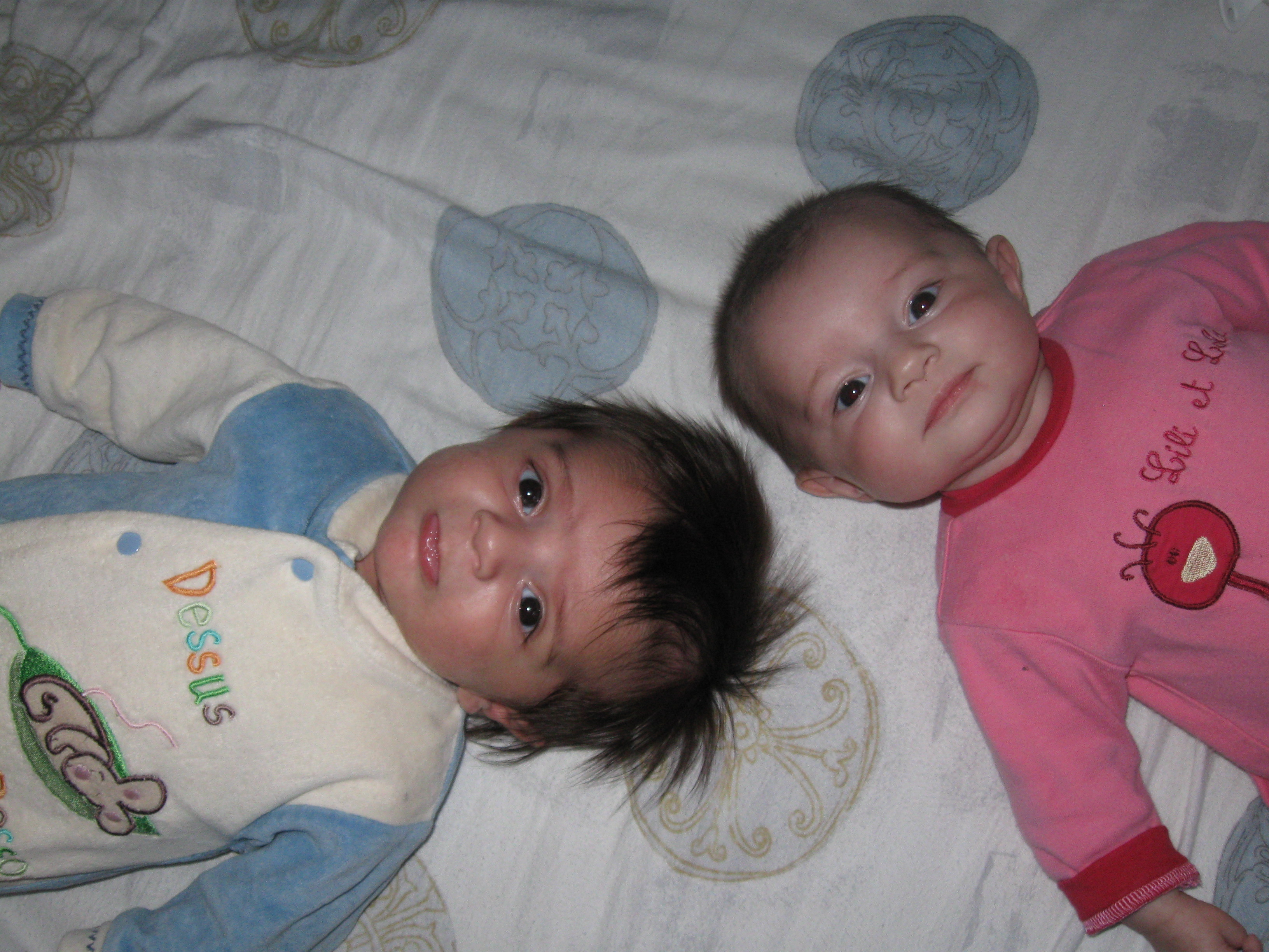 img2552.jpg
