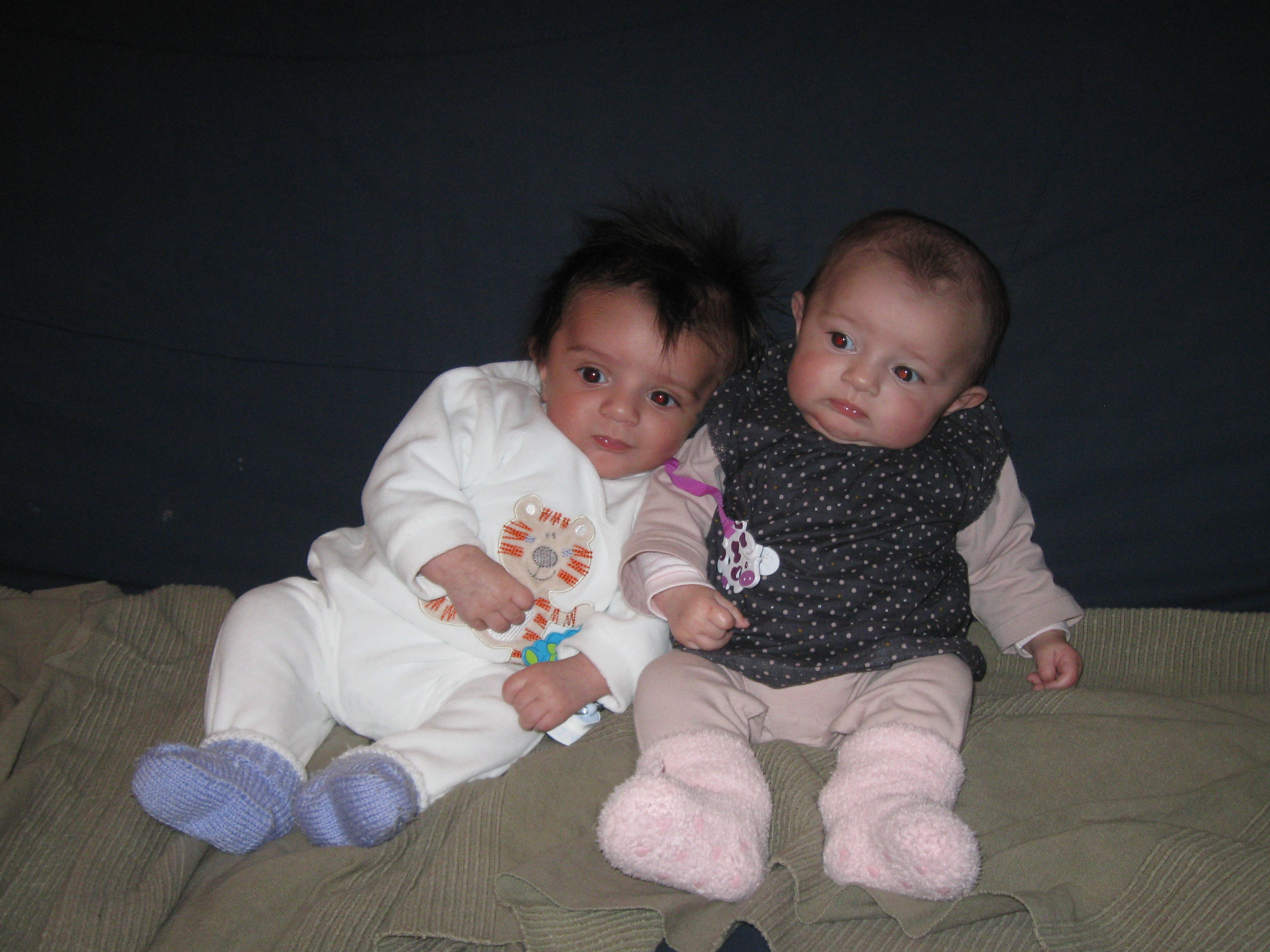 img2800.jpg