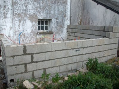 imgp05ede.jpg