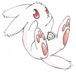 kawai2.png