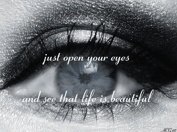 lifeisbeau.gif