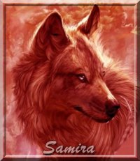 loup1.jpg