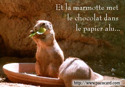 marmottepa.jpg