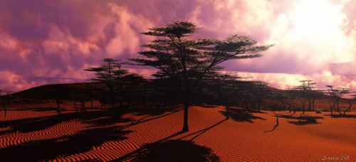 namibie.jpg