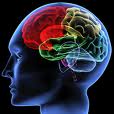 neurology.jpg