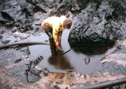 petrolemar.jpg