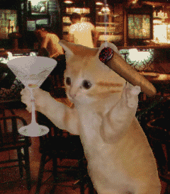 photoshumo.gif