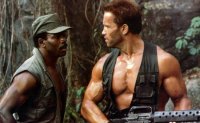 predator.jpg