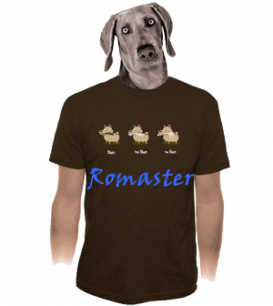 romaster3.png