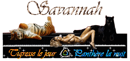 sava1.gif