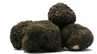 truffes1.jpg