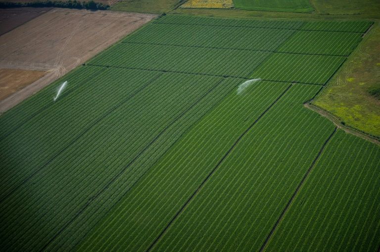L’agroécologie pourrait nourrir et sauver la planète, selon l’ONU