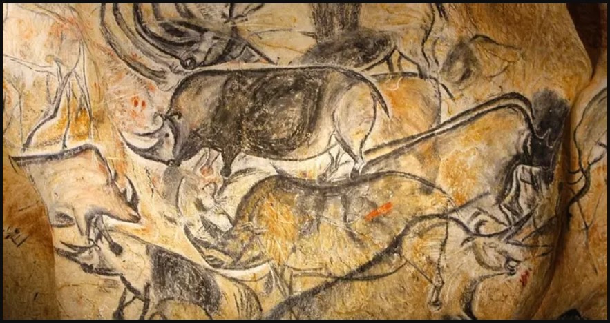 chauvet ardeche rhinos