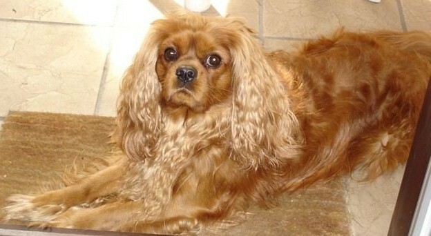 PhotoTKALIN-Avril-2005-0026b7dcc1b552e5c